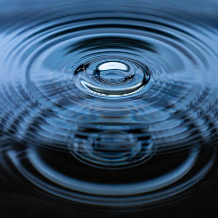 vibrations and frequency - Bruce Lipton